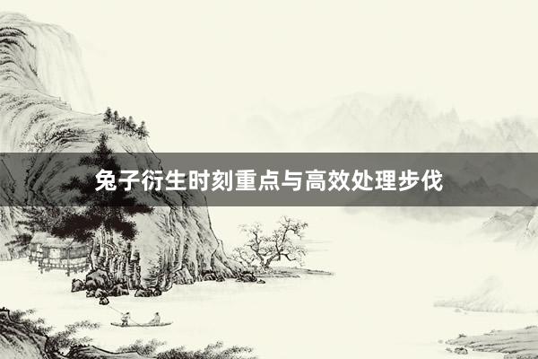 兔子衍生时刻重点与高效处理步伐