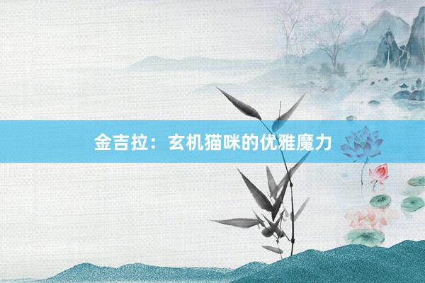 金吉拉：玄机猫咪的优雅魔力